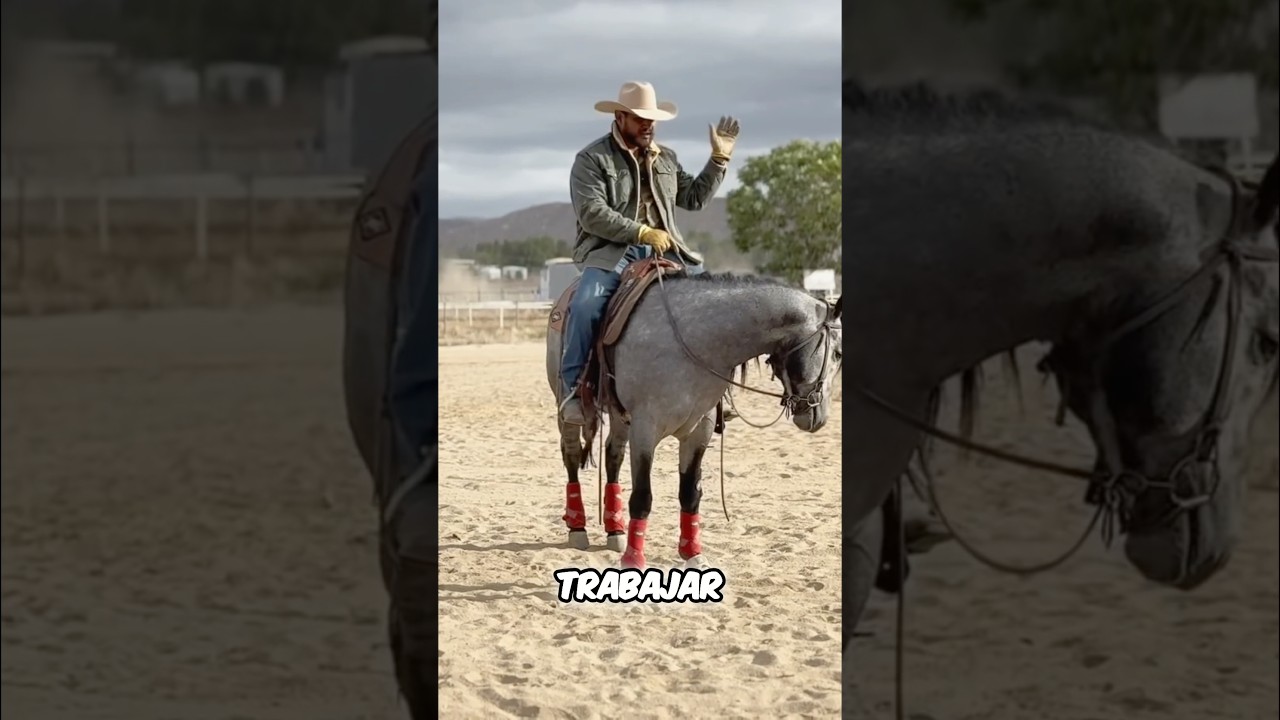 Por qu&eacute; no es bueno trabajar en c&iacute;rculos #instagram #caballos #rienda #horses #riendanuevageneracion