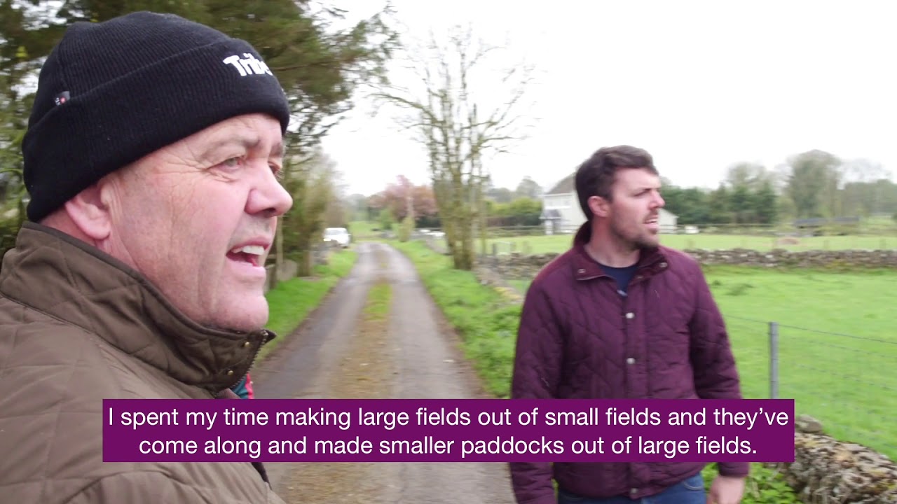 Cocci Series - Family farming in Mayo, Ireland