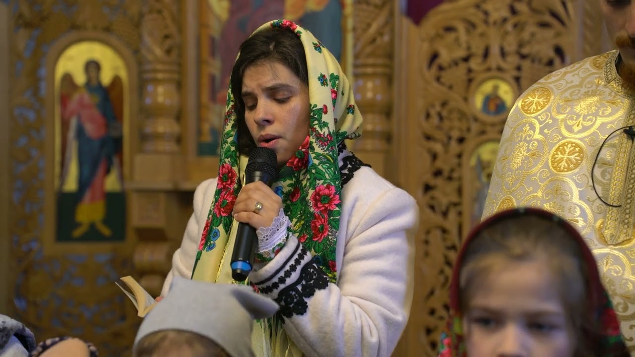 Ana Popescu - Ce folos?
