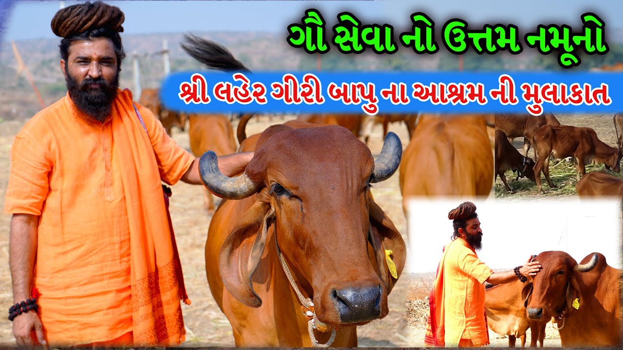 શ્રી લહેર ગિરી બાપુ સાથે મુલાકાત ।। ગુરુ દત્તાત્રેય આશ્રમ દેવળીયા ધાર તળાજા  Part 01