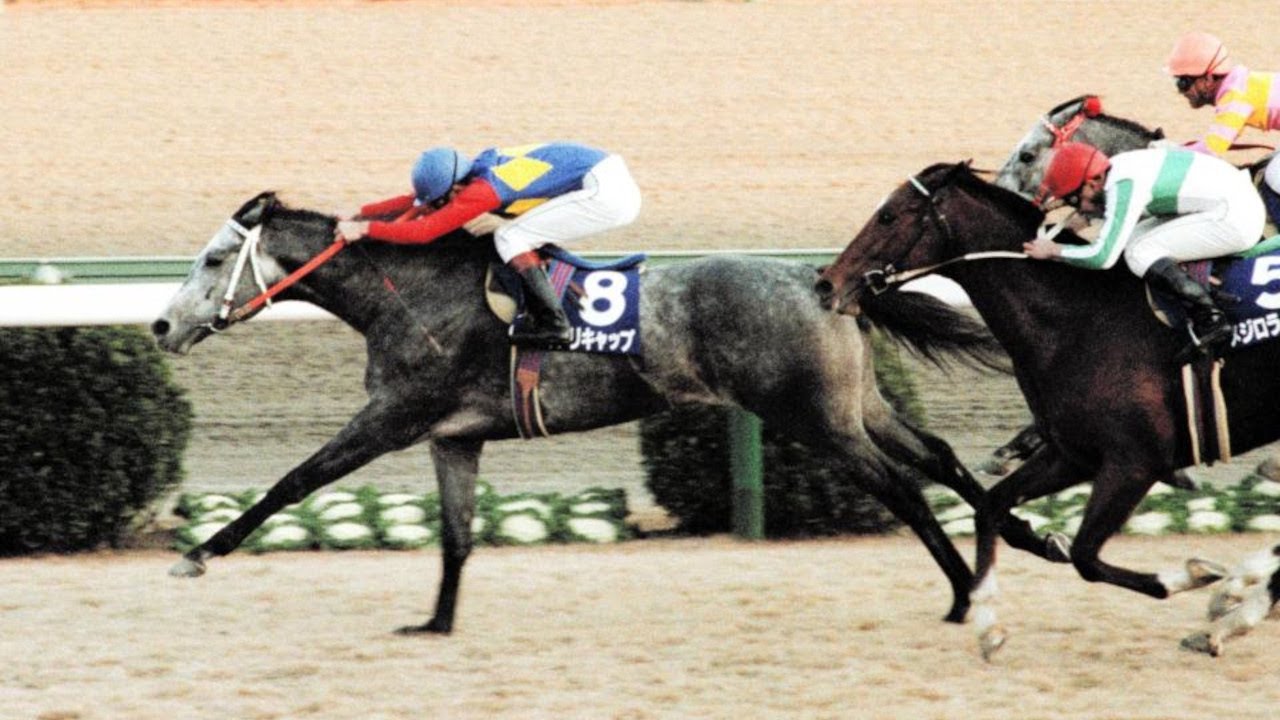 オグリキャップの中央競馬の成績が重賞20戦12勝は本当か？確認してみる