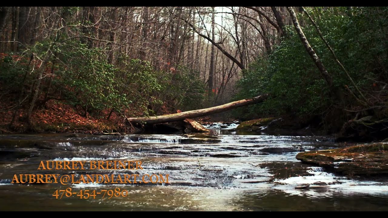 Price Creek Hunting Tract | 357.20 Acres | Pickens County, GA | LandMart.com