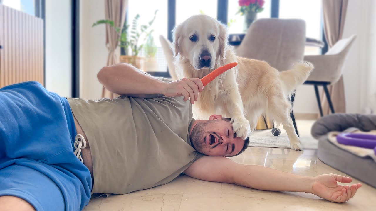 Faking My Death in Front of My Golden Retriever Dog!