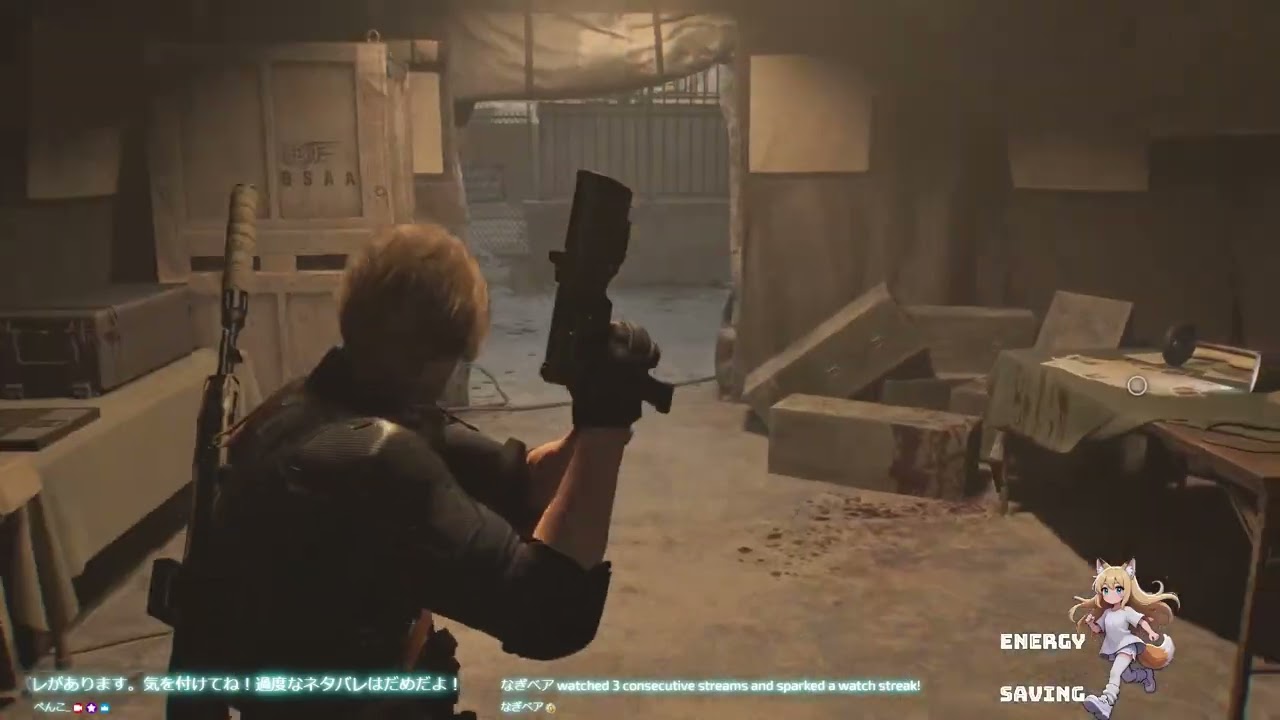 【BIOHAZARD】懐かしのアライグマ市観光【requiem】