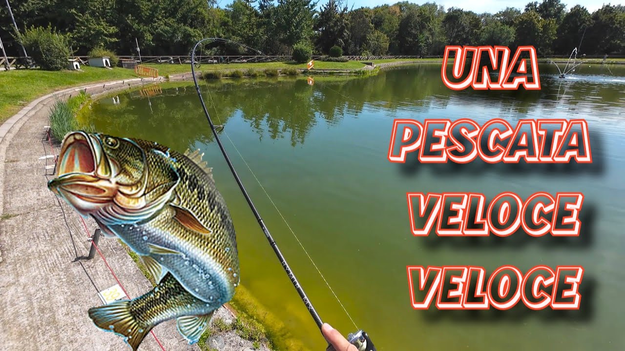 BASS FISHING : UNA PESCATA VELOCE VELOCE