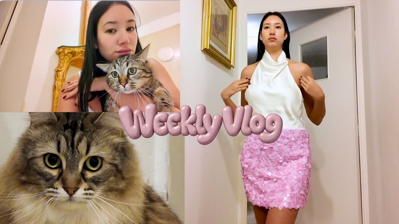 VLOG ✿ cours de cuisine, chats, haul Zara & skincare coréen