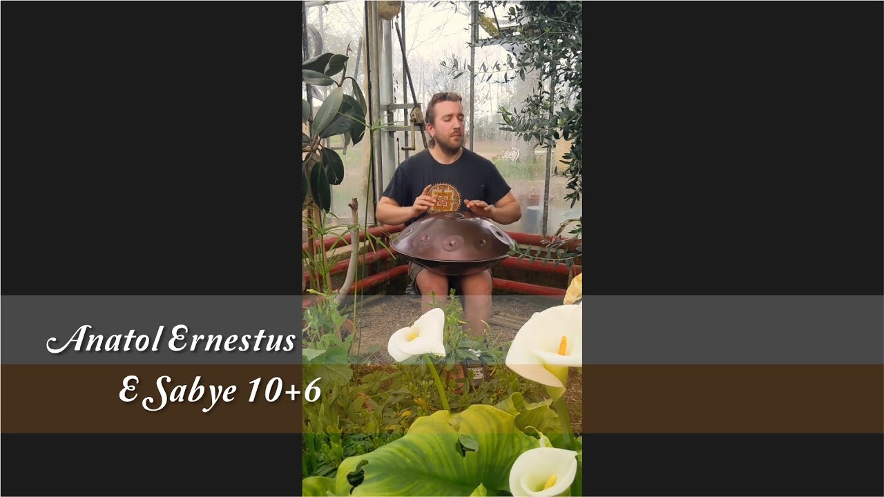 MrPans handpan - E Sabye 10+6 - Anatol Ernestus
