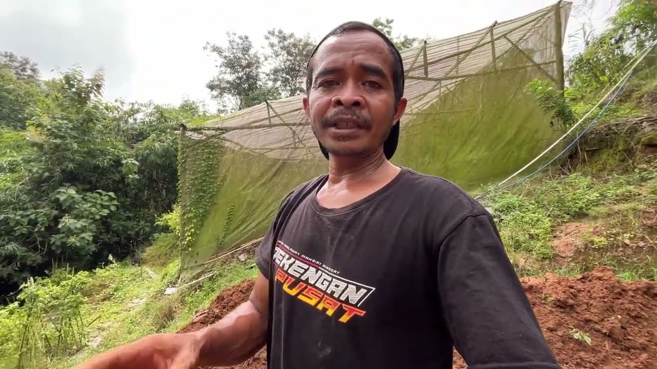 ilmu daging cara olah lahan tanpa ribet hasel jhos rugi gak di simak sampai selesai