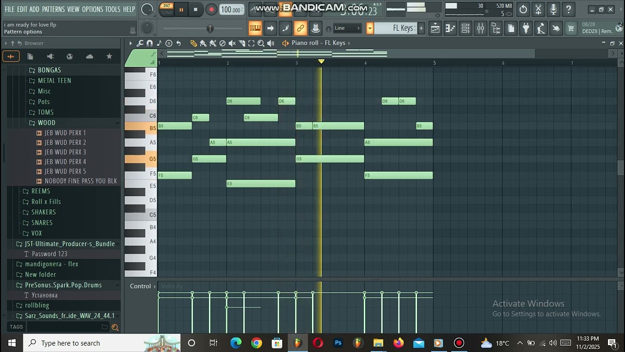 AM I READY FOR LOVE TYLA TYPE FL STUDIO