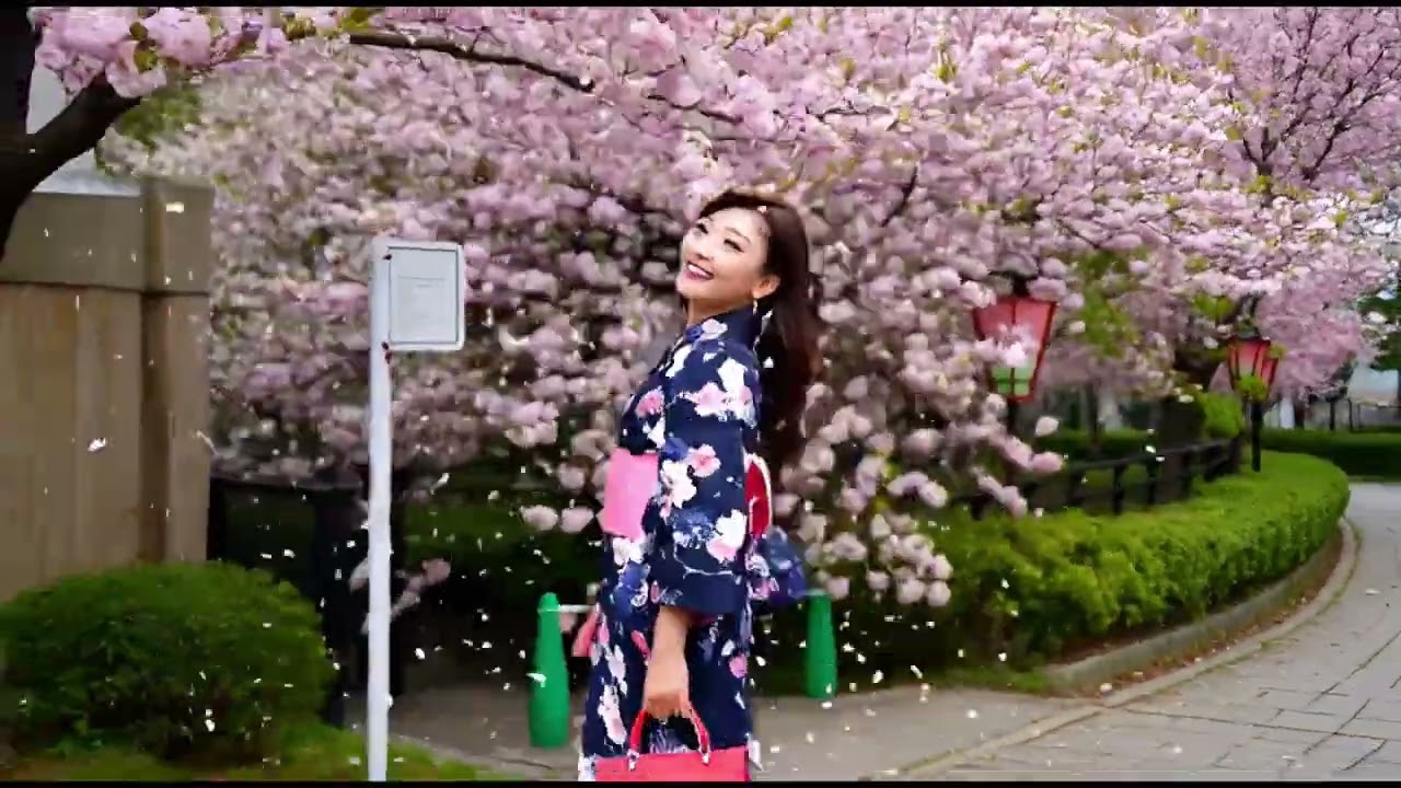 20260213日本櫻花