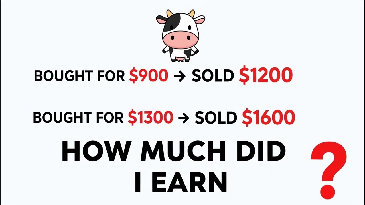This Simple Profit Question Is Tricking Everyone 🤯 (LIVE)