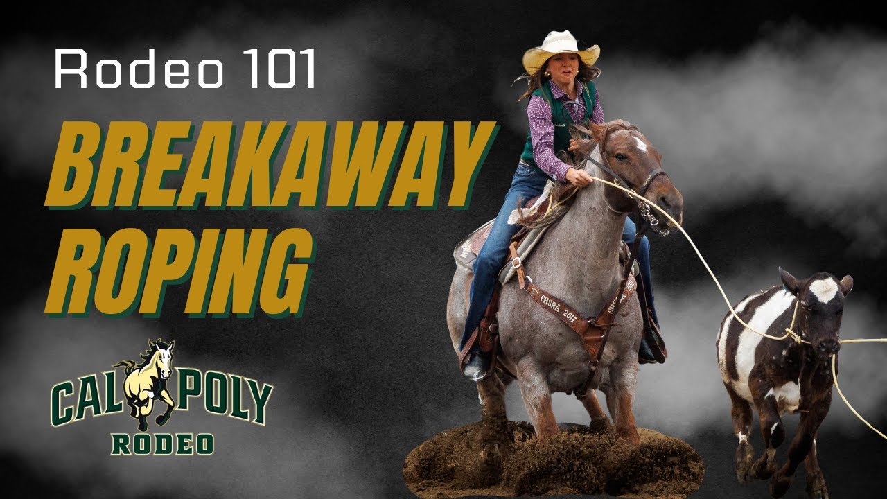Breakaway 101 | Cal Poly Rodeo