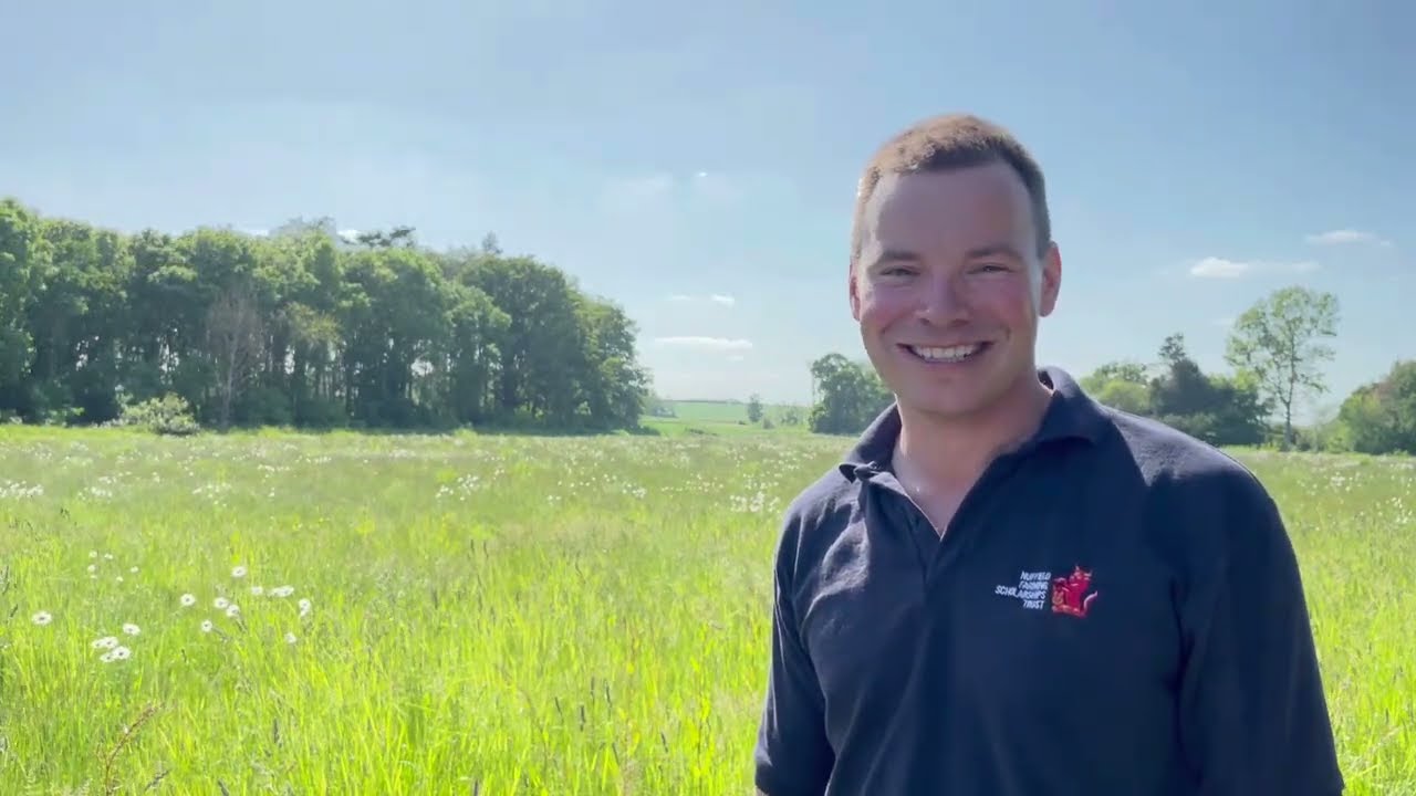 Report: Catch and Cover Cropping Opportunities in UK Arable Agriculture