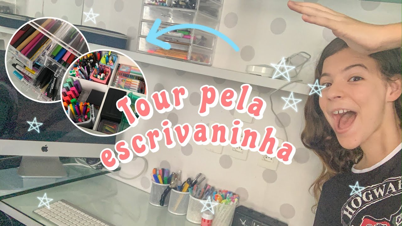 MINHA ESCRIVANINHA - QUANTAS CANETAS EU TENHO ? | Studies Organize