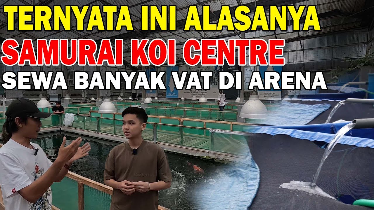 MENGAPA SAMURAI KOI SEWA BANYAK VAT DI ARENA KONTES???