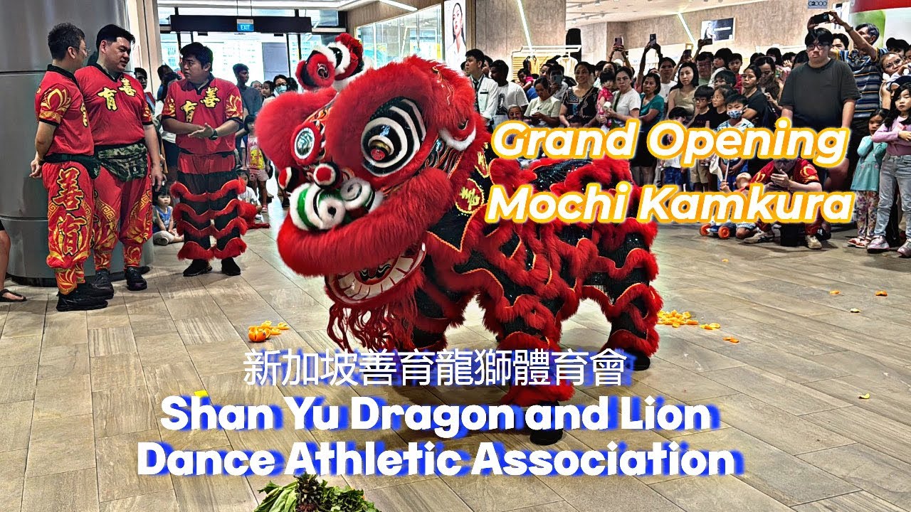 新加坡善育龍獅體育會 Singapore Shan Yu Dragon & Lion Dance Cai Qing Performance Grand Opening Mochi kamakura