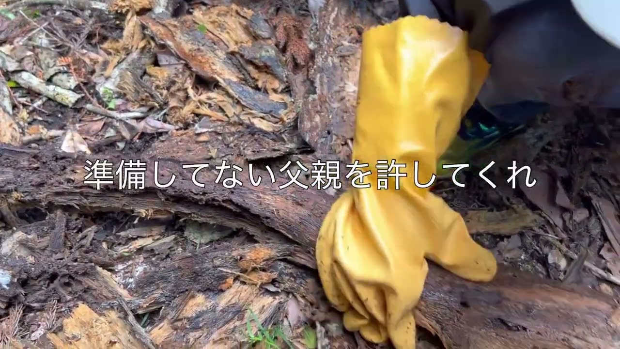 息子と楽しく材割り