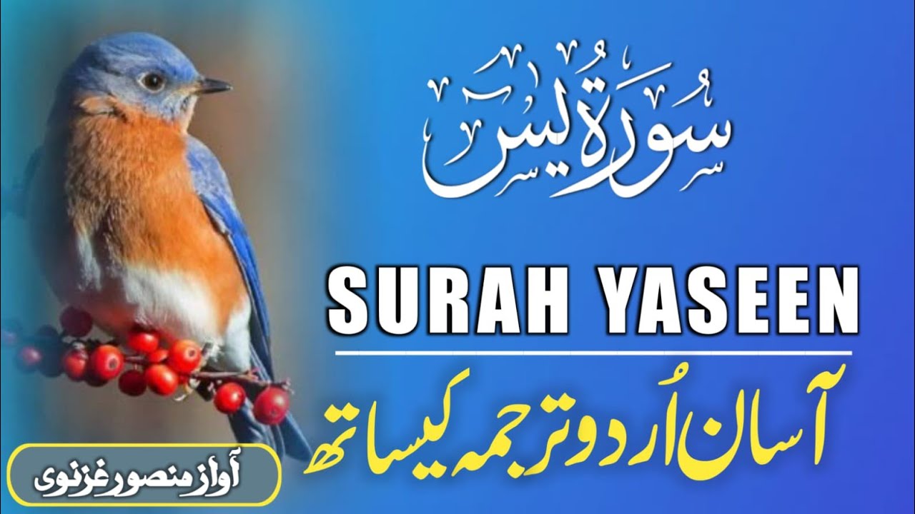 Surah Yaseen With Urdu Translation By Qari Mansoor Ghaznawi I Urdu And Hindi Tarjuma