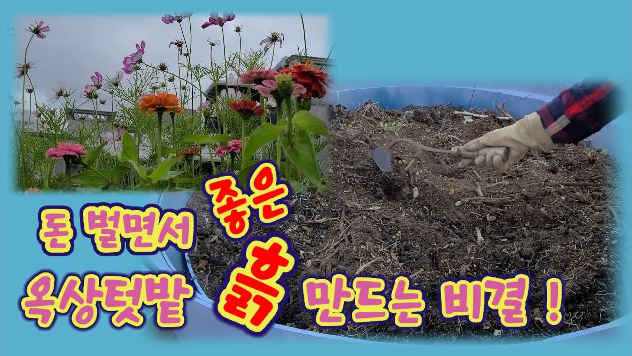 옥상 텃밭 좋은 흙 만드는 비결 / 거름이 필요 없는 흙 만들기 / Making garden soil  [쑥이네옥상. rooftop farm of Korea]