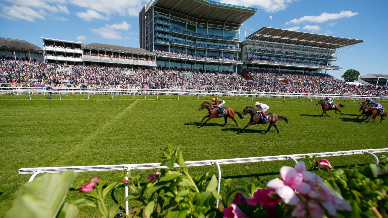 Dante Stakes Compilation - Motivator, Authorized, Roaring Lion, Desert Crown & more
