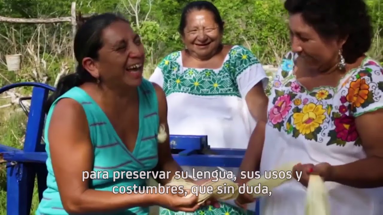 Lenguas indígenas: parte del corazón de México