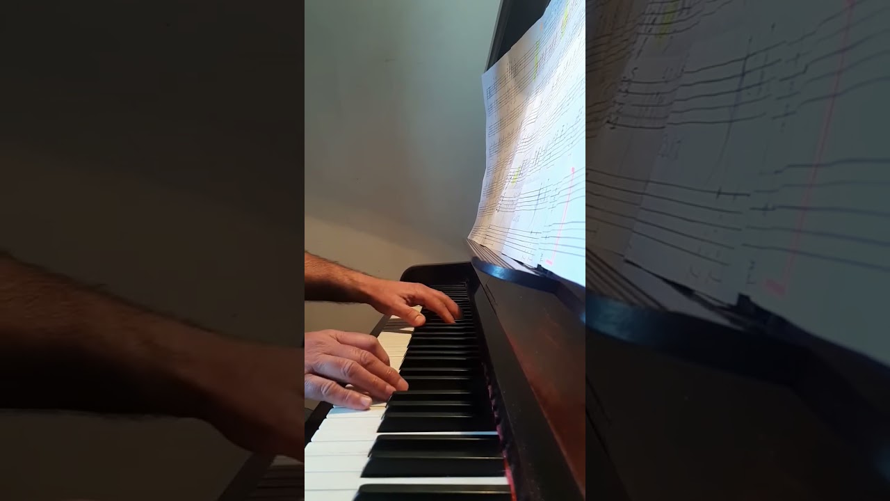 DER HOLLE RACHE KOCHT IN MEINEN HERZEN ( MOZART )