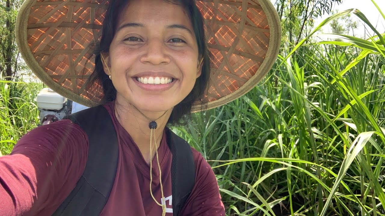 PESCARIA RIBEIRINHA NO LAGO/PEIXE ASSADO/VIDA REAL NA AMAZÔNIA