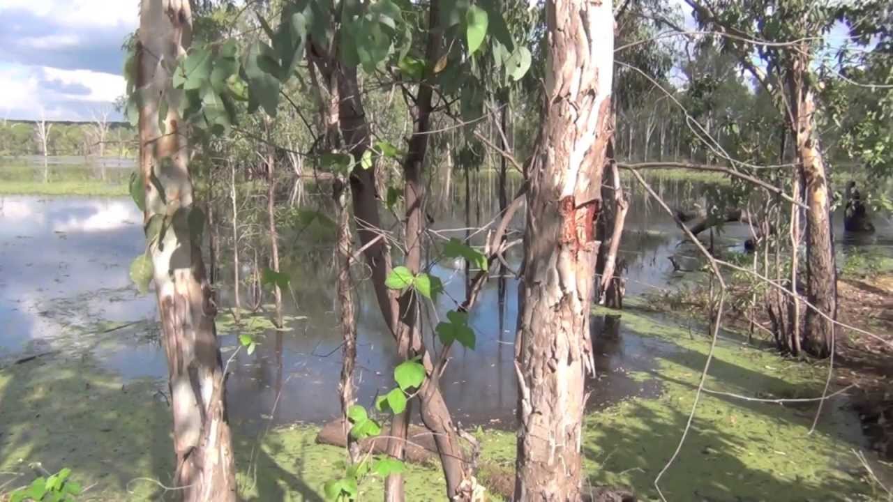 Welcome to Woorabinda