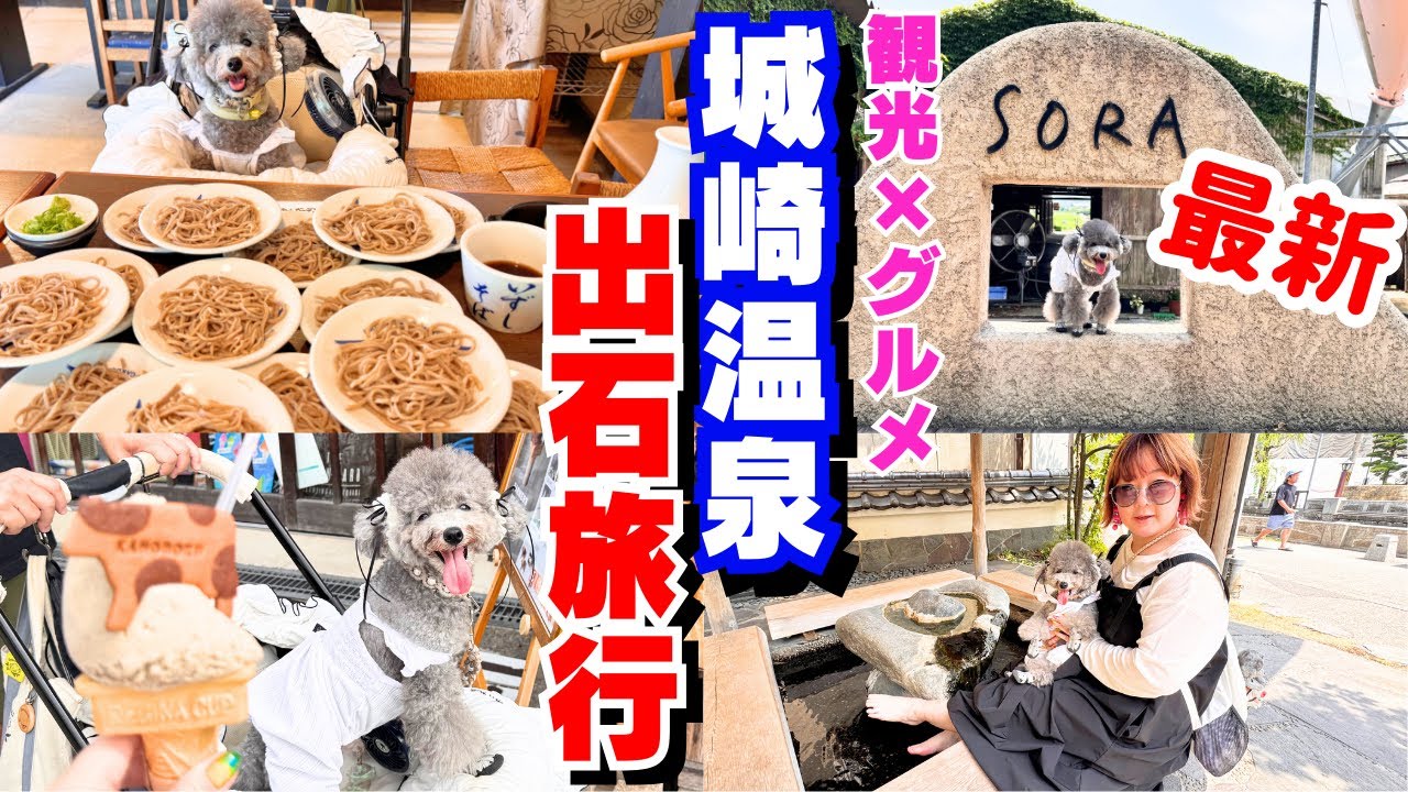 【犬と旅行】最新観光！城崎温泉・映画【国宝】ロケ地の出石でグルメ旅してみた！【道の駅但馬のまほろば】【出石そば】