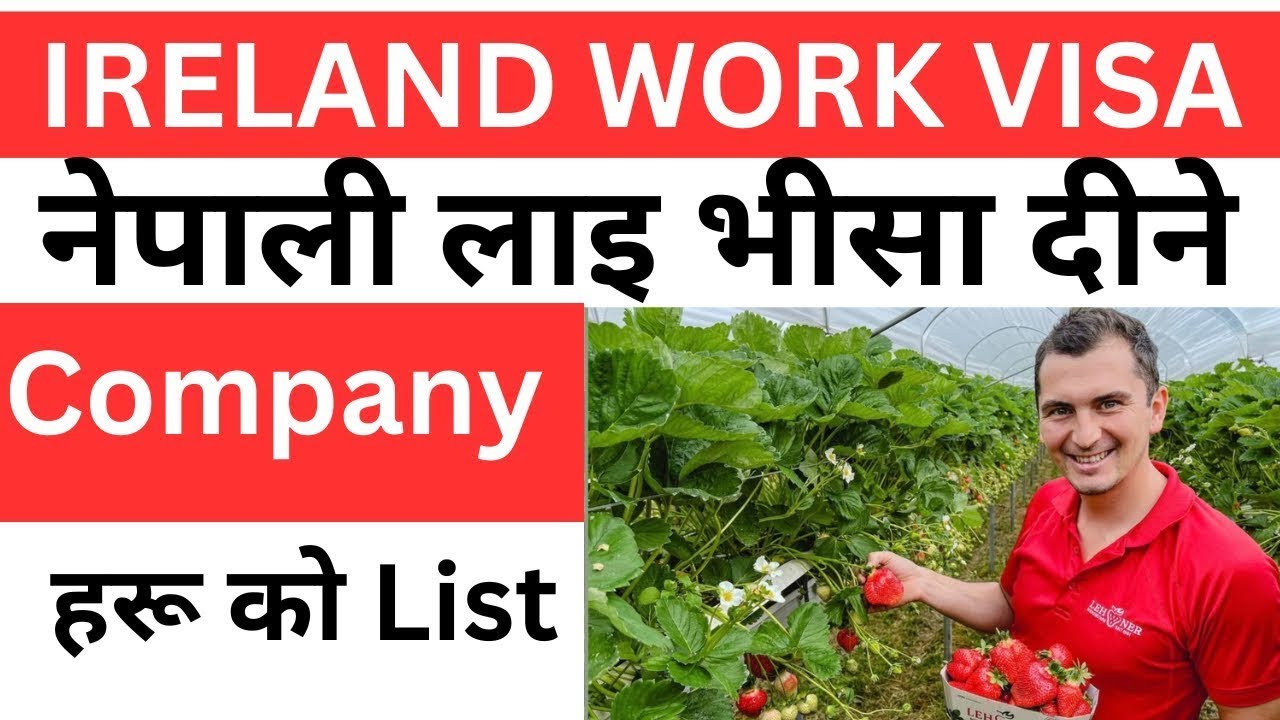 how to apply ireland work visa from nepal 2026 | nepal to ireland working visa | Ireland work visa