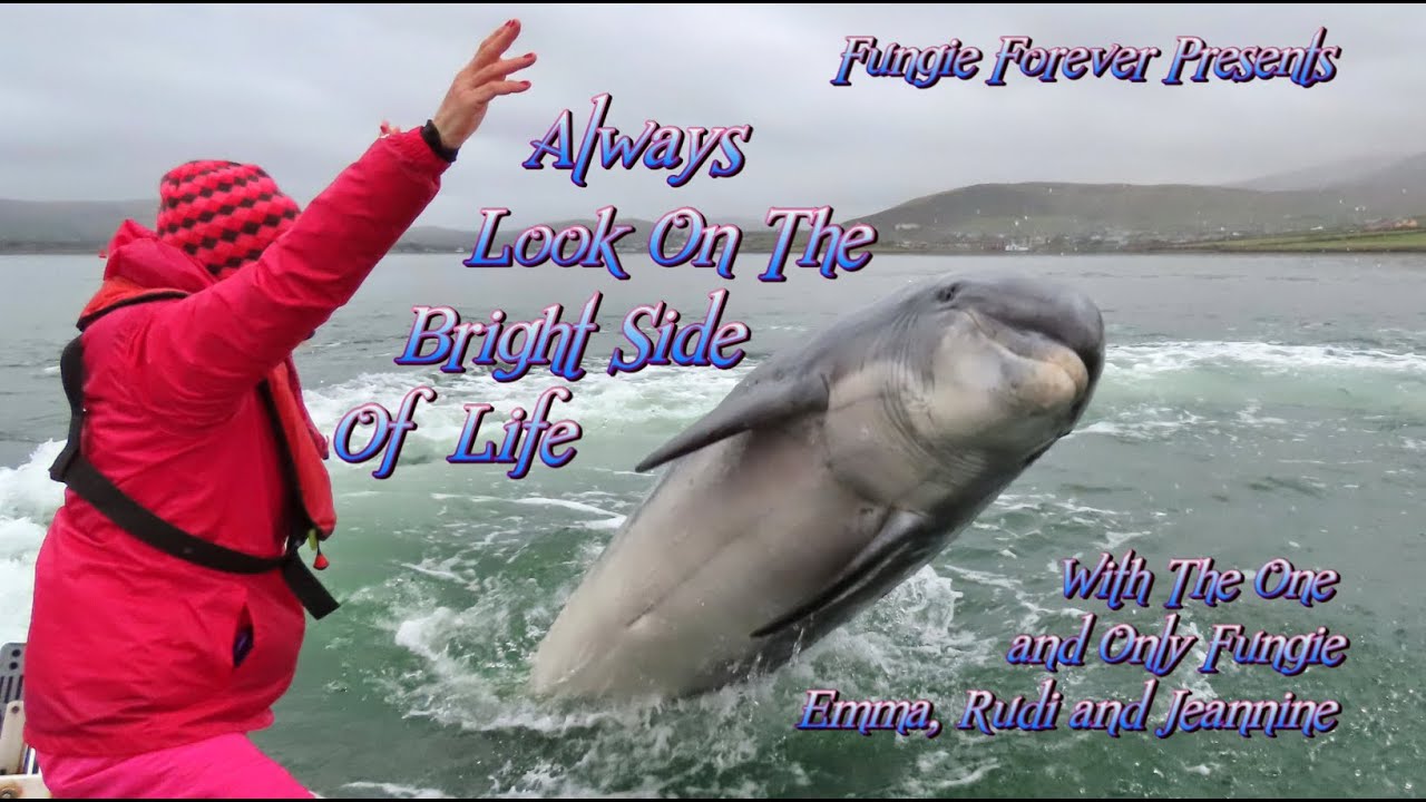FUNGIE FOREVER - ALWAYS LOOK ON THE BRIGHT SIDE OF LIFE