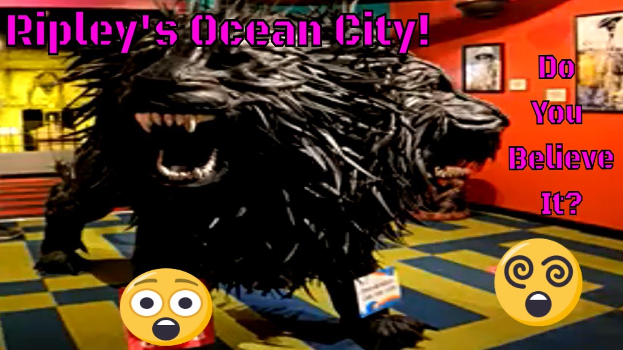 Ripley's Believe It or Not Ocean City