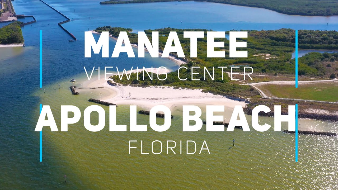 Manatee Viewing Center and Apollo Beach | 4K drone footage
