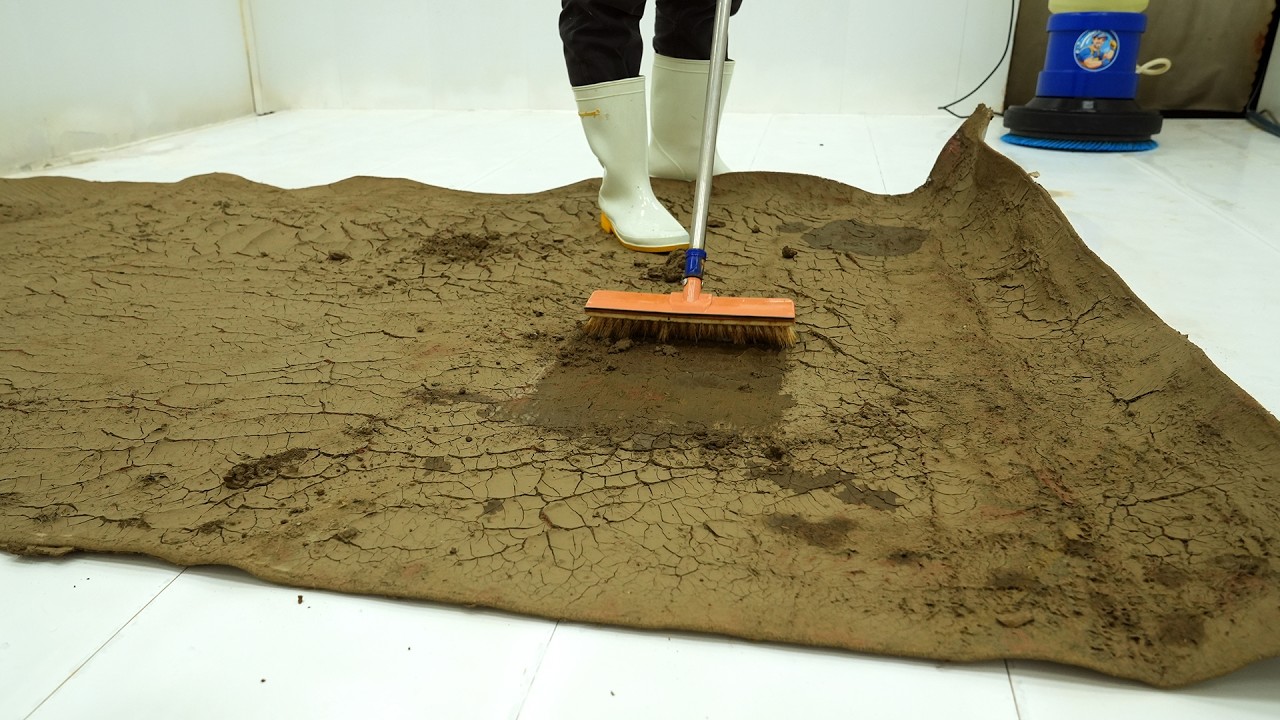 A $5,000 Carpet Covered in Rock-Hard Mud for Decades – Satisfying Restoration, Satisfying Video