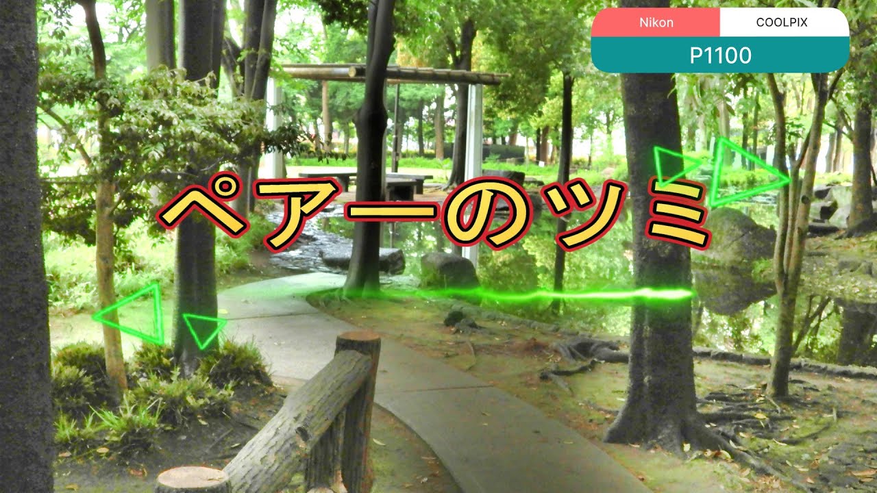 ペアーのツミ　東京のおじチャンネル