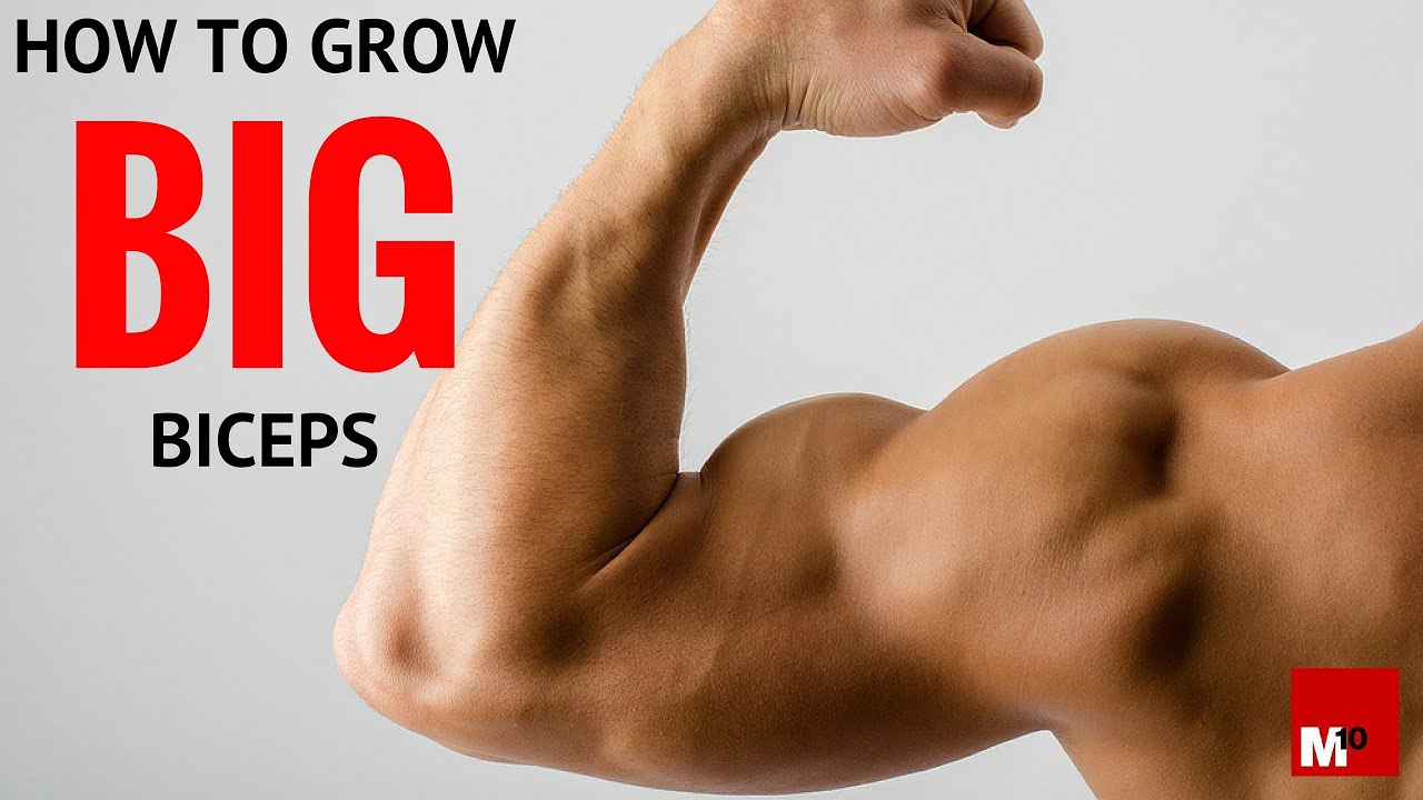 How to grow big biceps