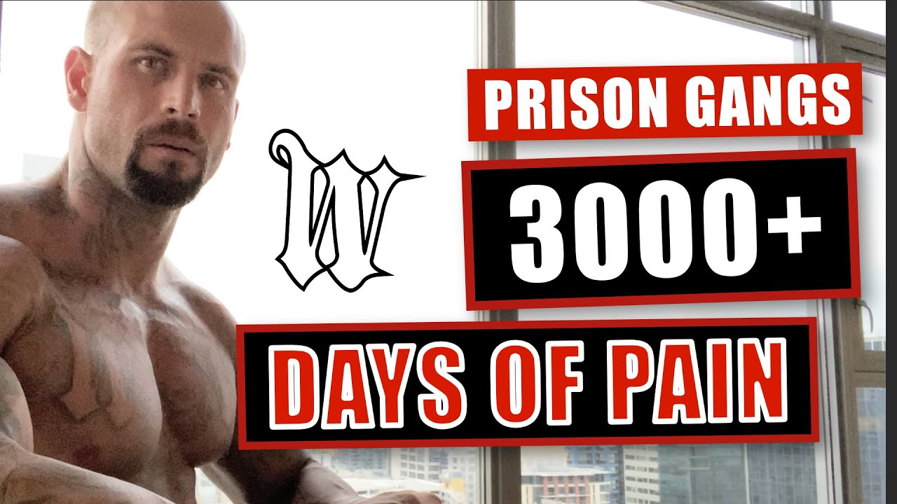 Prison Gangs : 3000+ Days of Pain