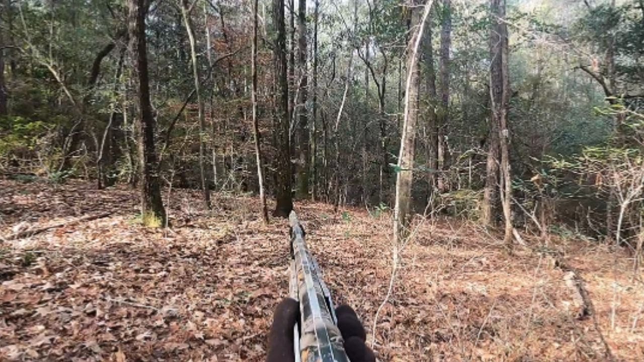 The Buck That Got away!! ( Deer Hunting with Dogs 2024-2025)