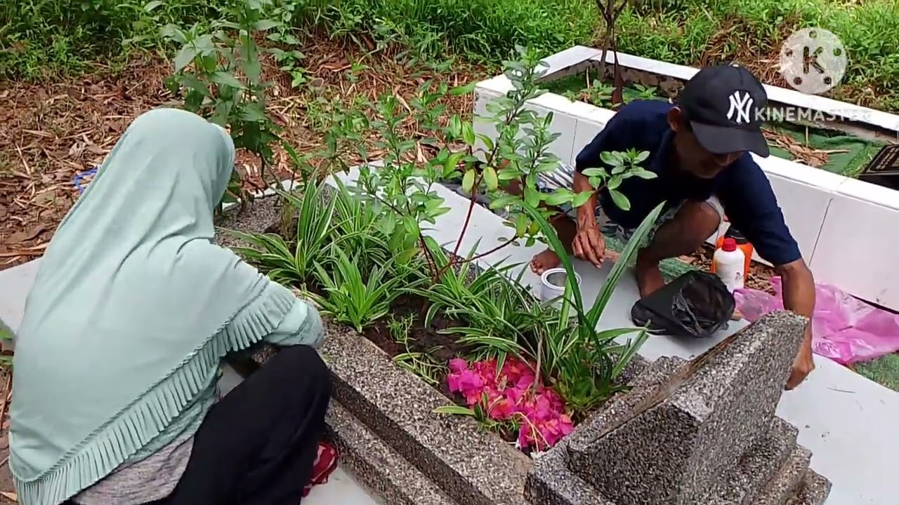 Nyekar ke makam Papa hari ke 193 🫶🫶#grateful #vlogs #alfatihah #jannah 
