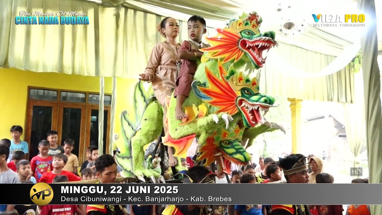 SALAH GENAH | ENTIN | BUROK DANGDUT CINTA NADA BUDAYA SHOW CIBUNIWANGI BANJARHARJO 22/06/2025