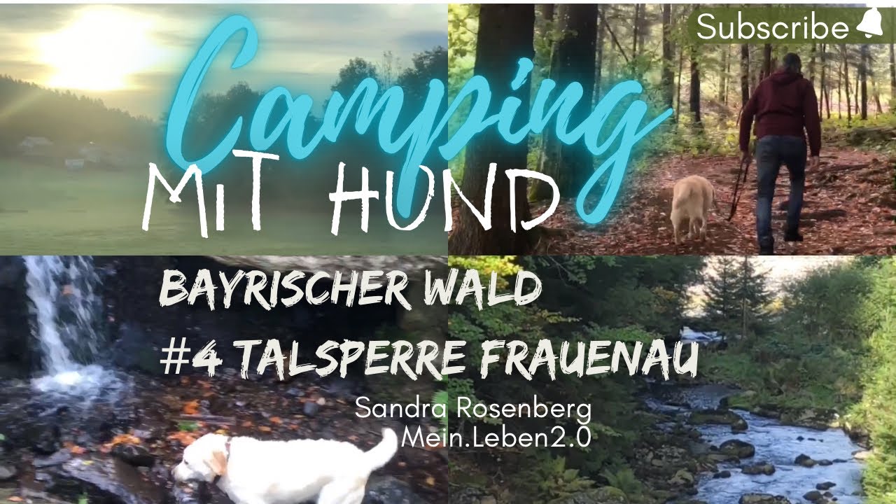 #4 Bayrischer Wald 🌳🐶🐾 - Talsperre Frauenau, Nationalpark 
