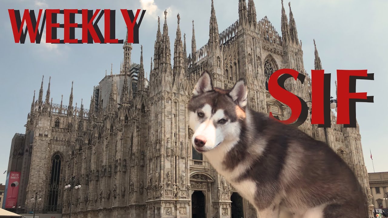 Journey Pokèmon & Weekly Sif