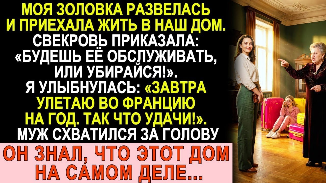 Свекровь велела обслуживать золовку. Я улыбнулась_ «Улетаю во Францию. Удачи!»