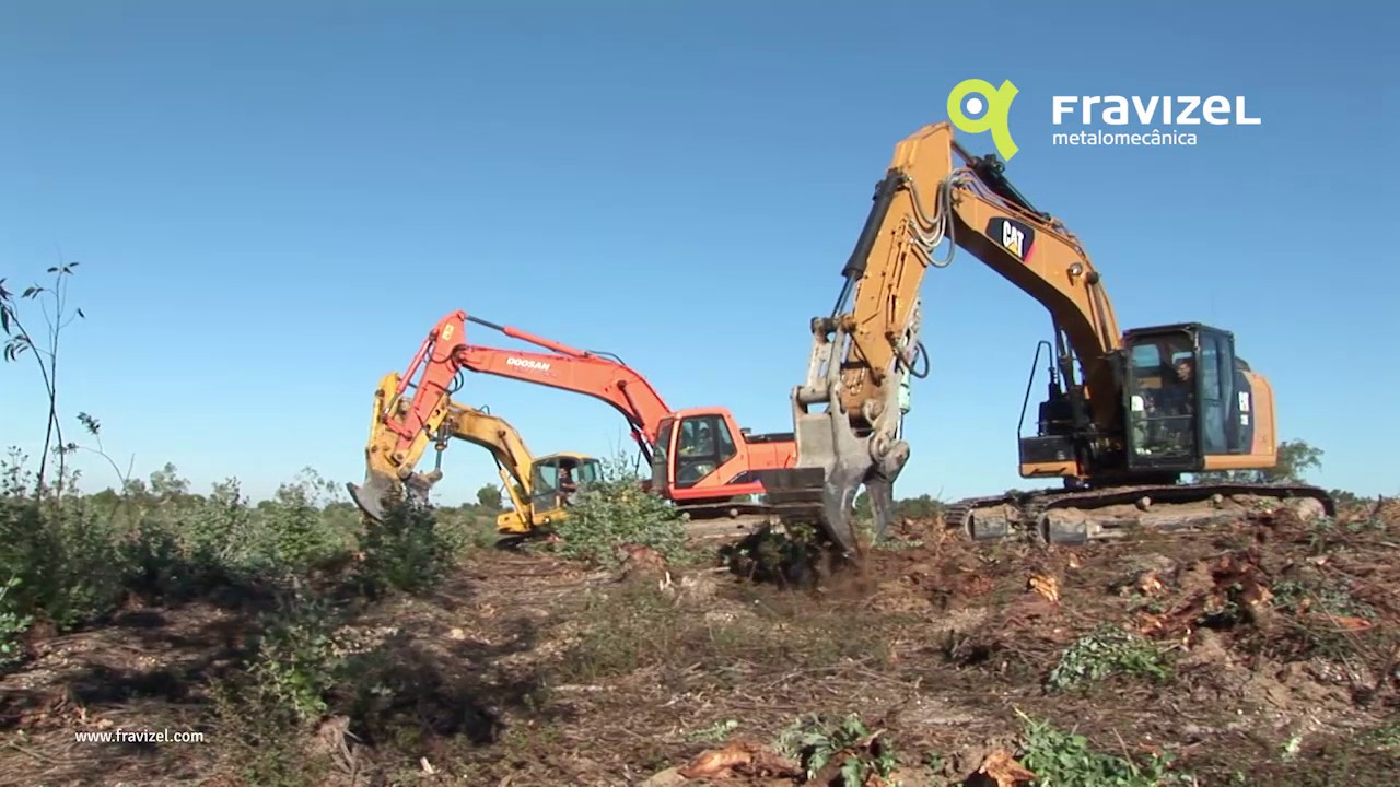 FRAVIZEL _FORESTRY_2016