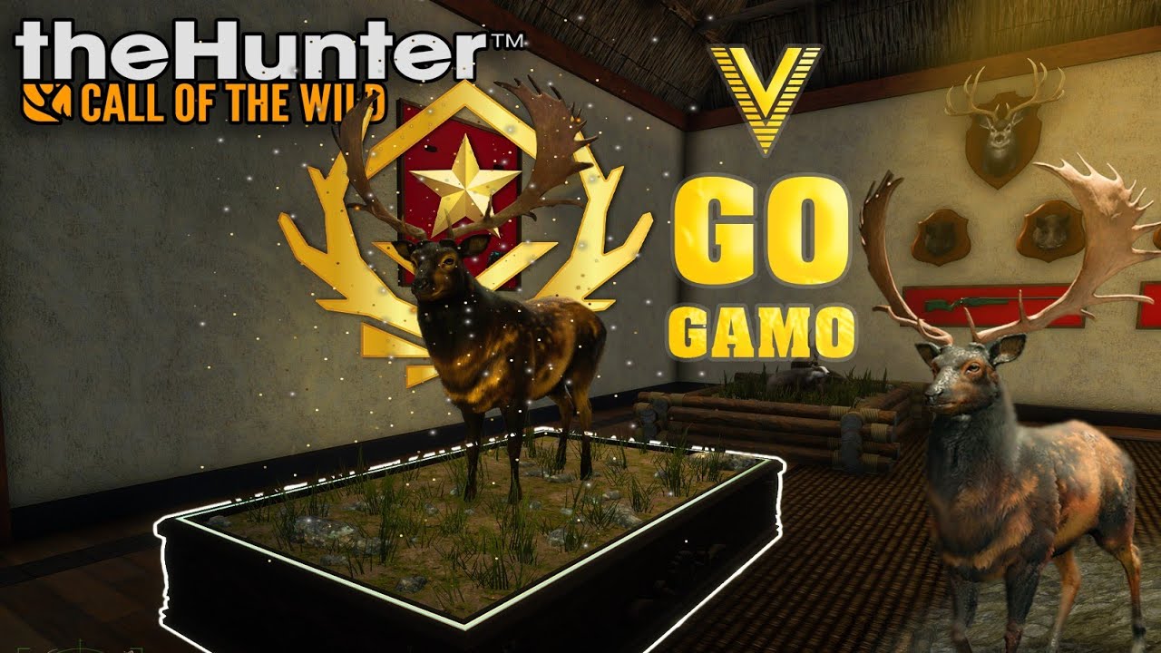 🦌🦌CAYO EL 5TO-THE HUNTER CALL OF THE WILD 🦌🦌