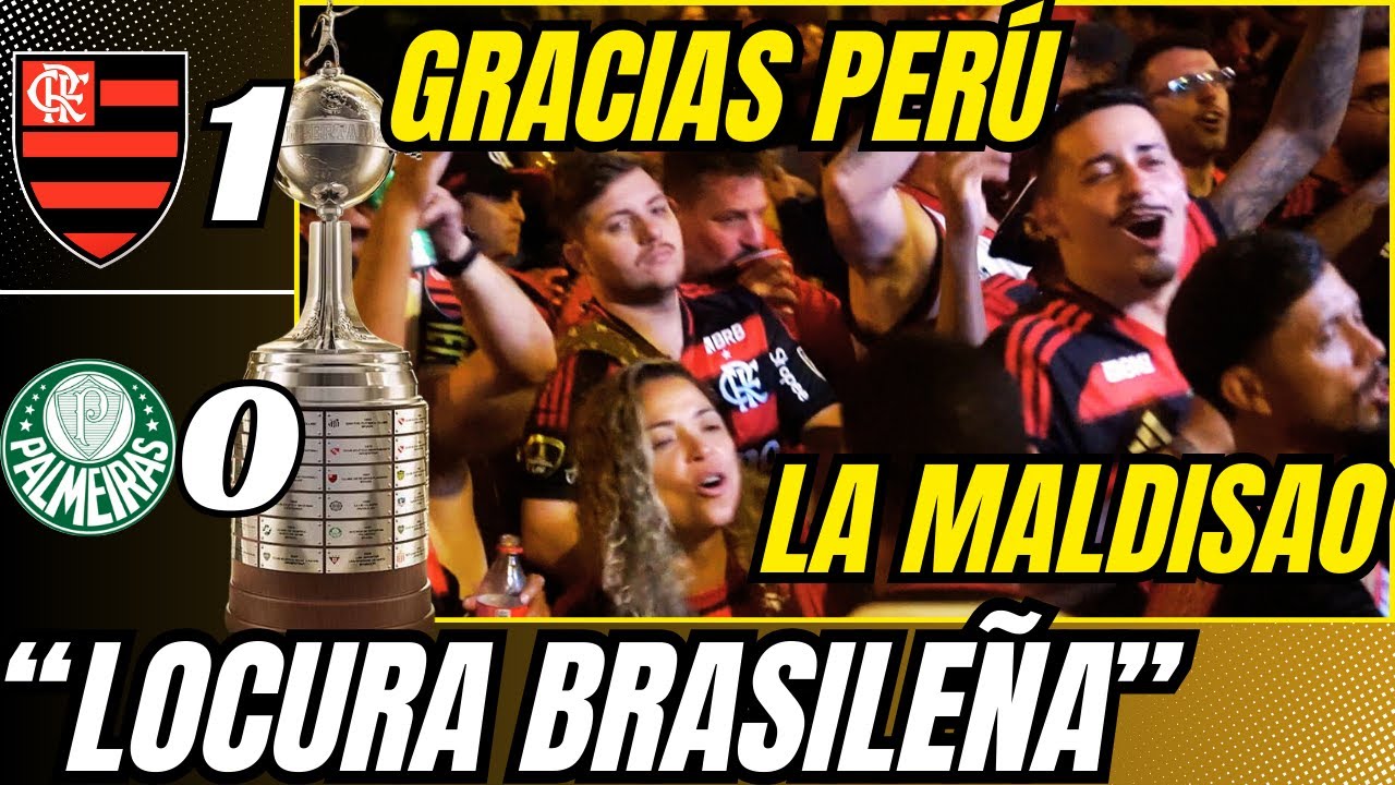 PALMEIRAS 0 VS FLAMENGO 1 | Reacción de hinchas, 
