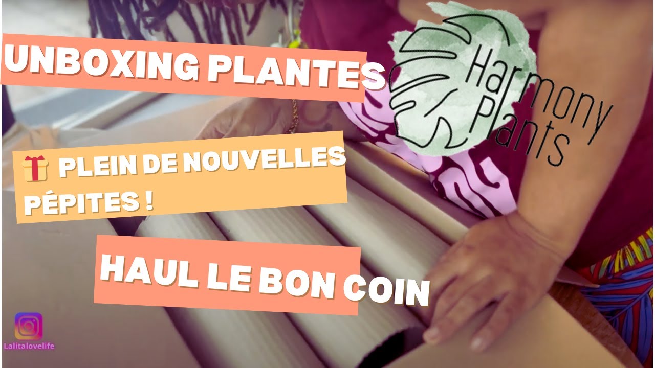 Unboxing Harmony Plants et plein de nouveautés !