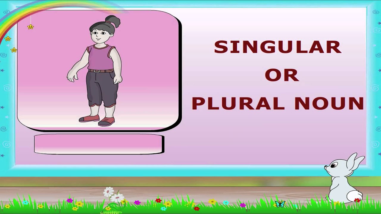 Learn Grade 1 - English Grammar - Noun Number