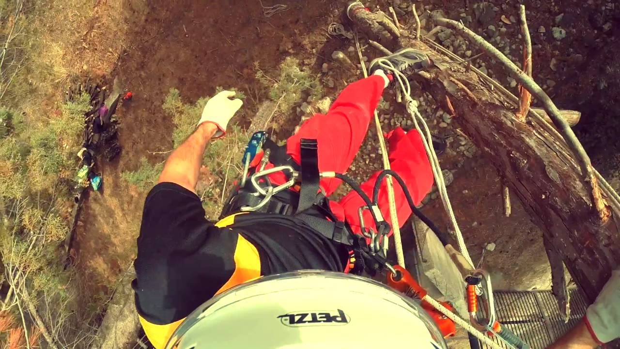 Abbattimento albero con tecniche treeclimbing lavoro su fune interventi speciali di manutenzione