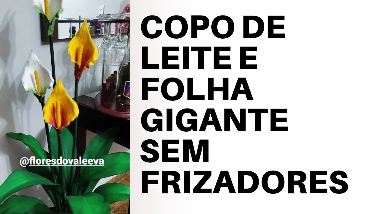 COPO DE LEITE E FOLHA GIGANTE SEM FRIZADORES